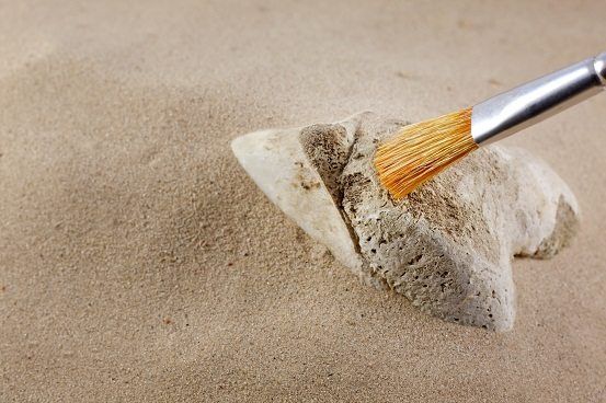 Arqueología o la ciencia que determina el valor de los objetos