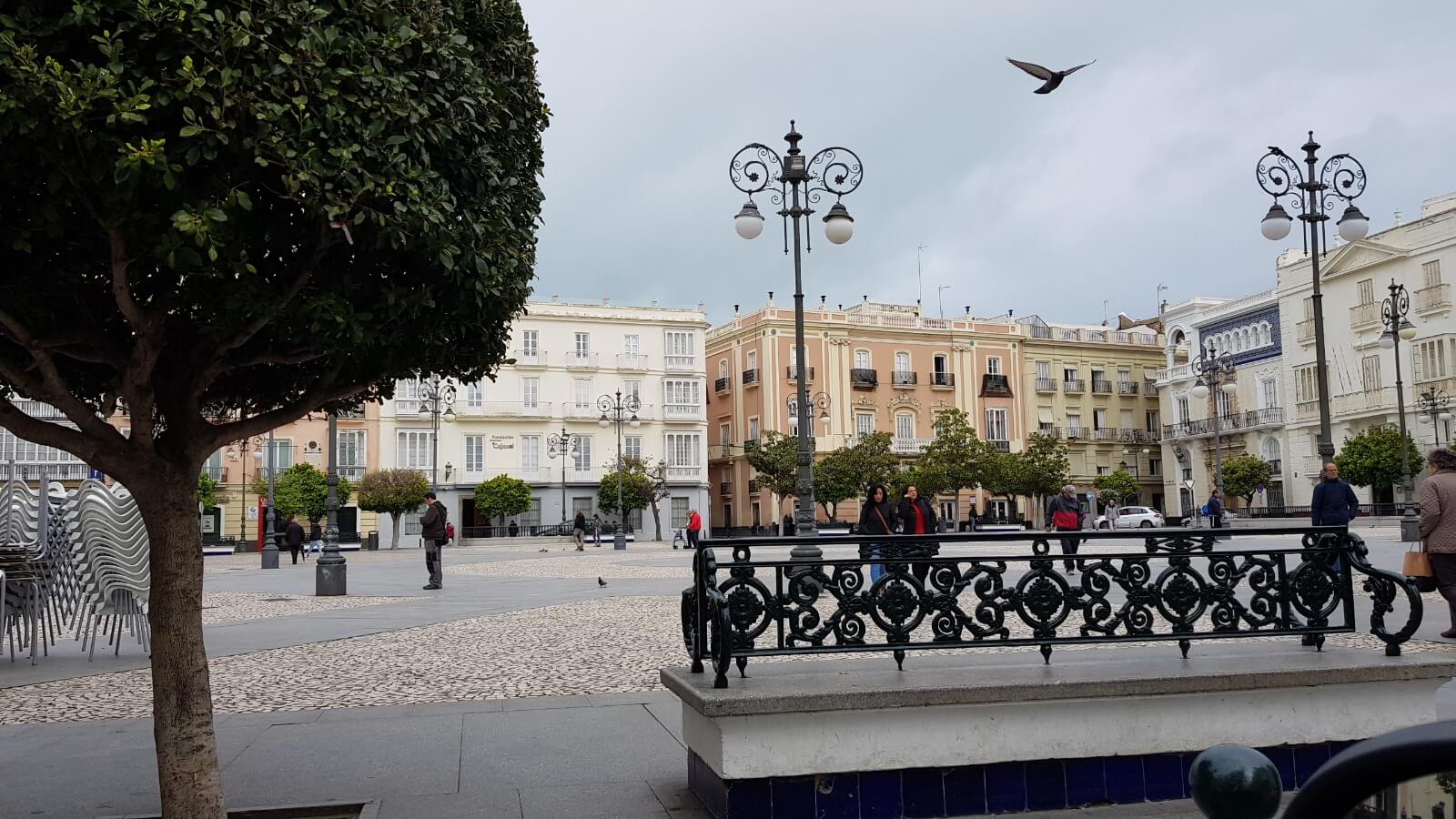 tinsa cádiz