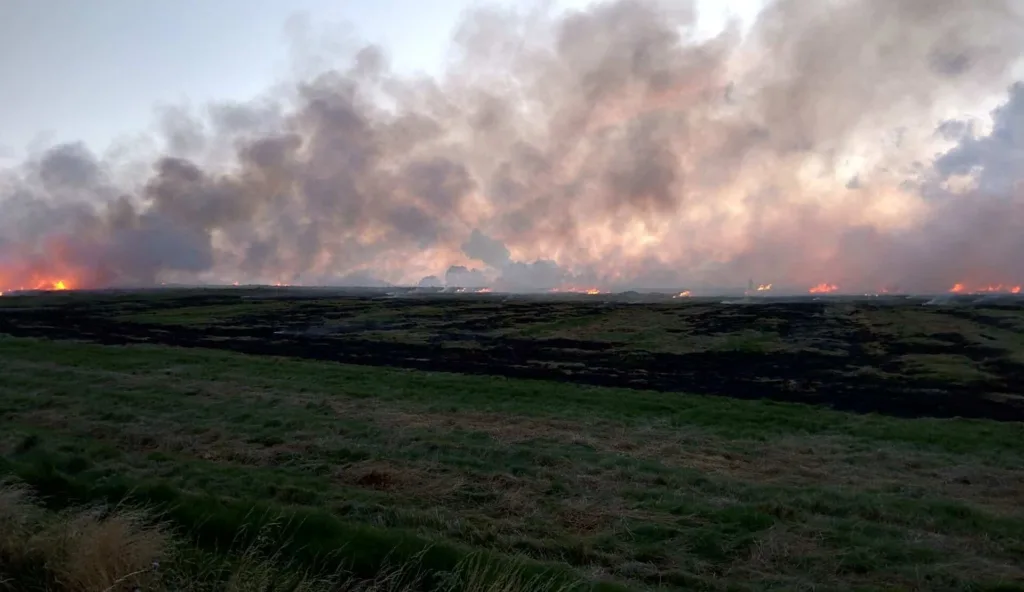 incendio forestal al fondo de una pradera con mucho humo