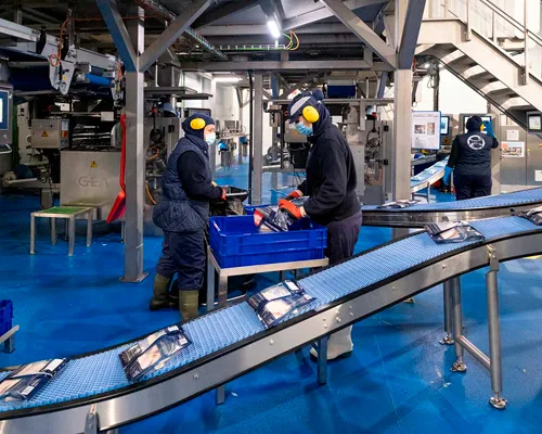 industria-conservera-tasacion
