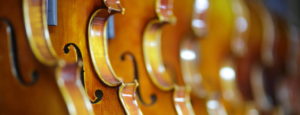 foto de muchos violines de exposición