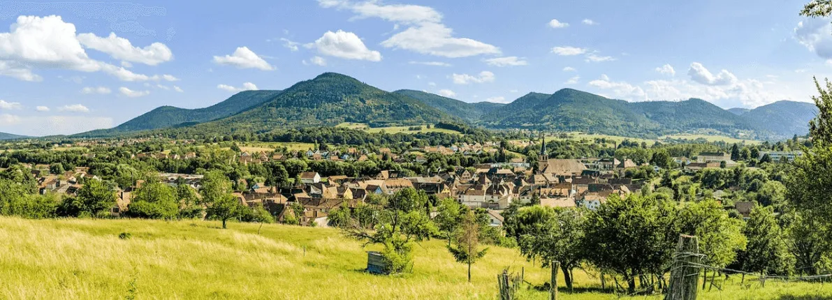 Solicita la valoración de tu finca ahora con un 25% de descuento