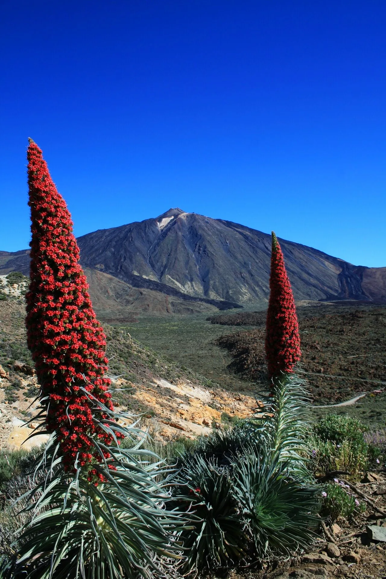 tinsa tenerife